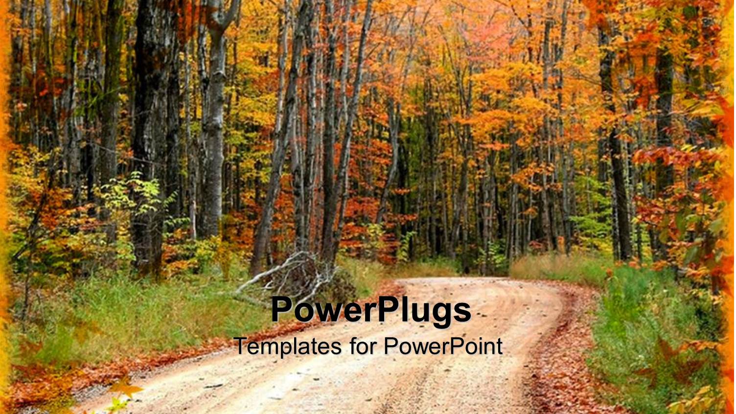 Lonely Dirt Road Between Trees in an Autumn Season