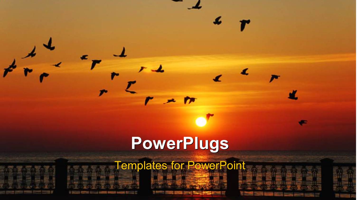 a Lot of Birds Heading to their Nests with Sunset in the Background