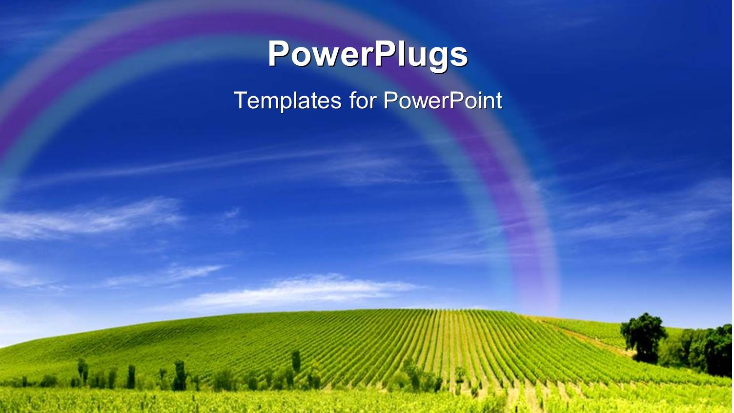 a Lot of Crops and Clouds in the Background