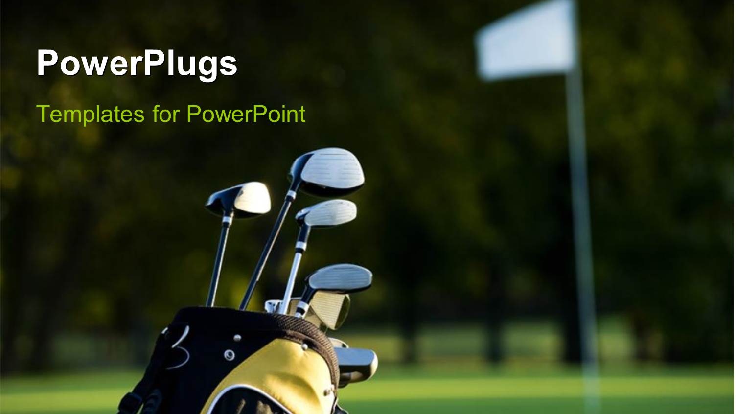 a Lot of Golf Clubs in the Bag