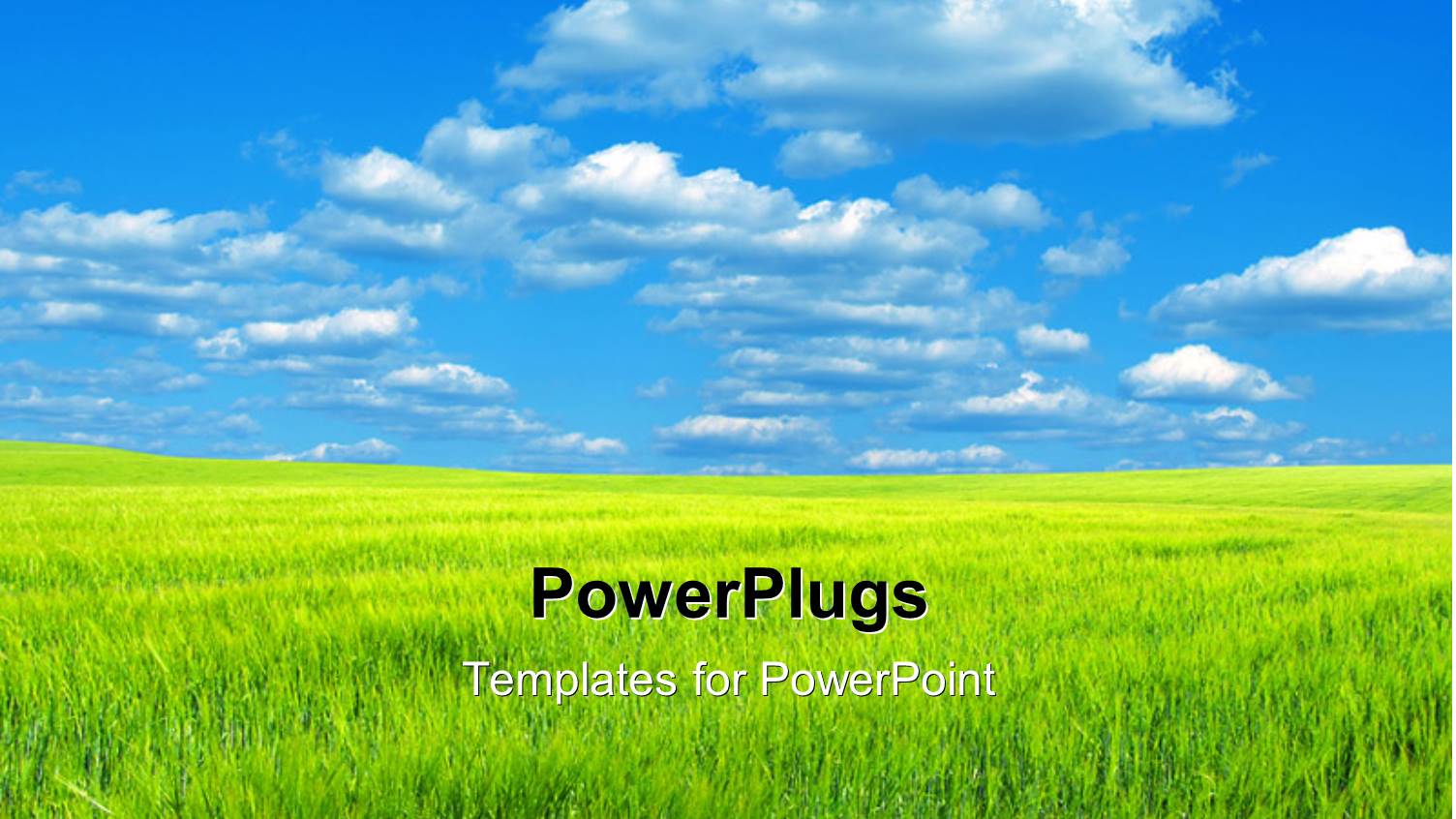 a Lot of Grass and Clouds in the Background