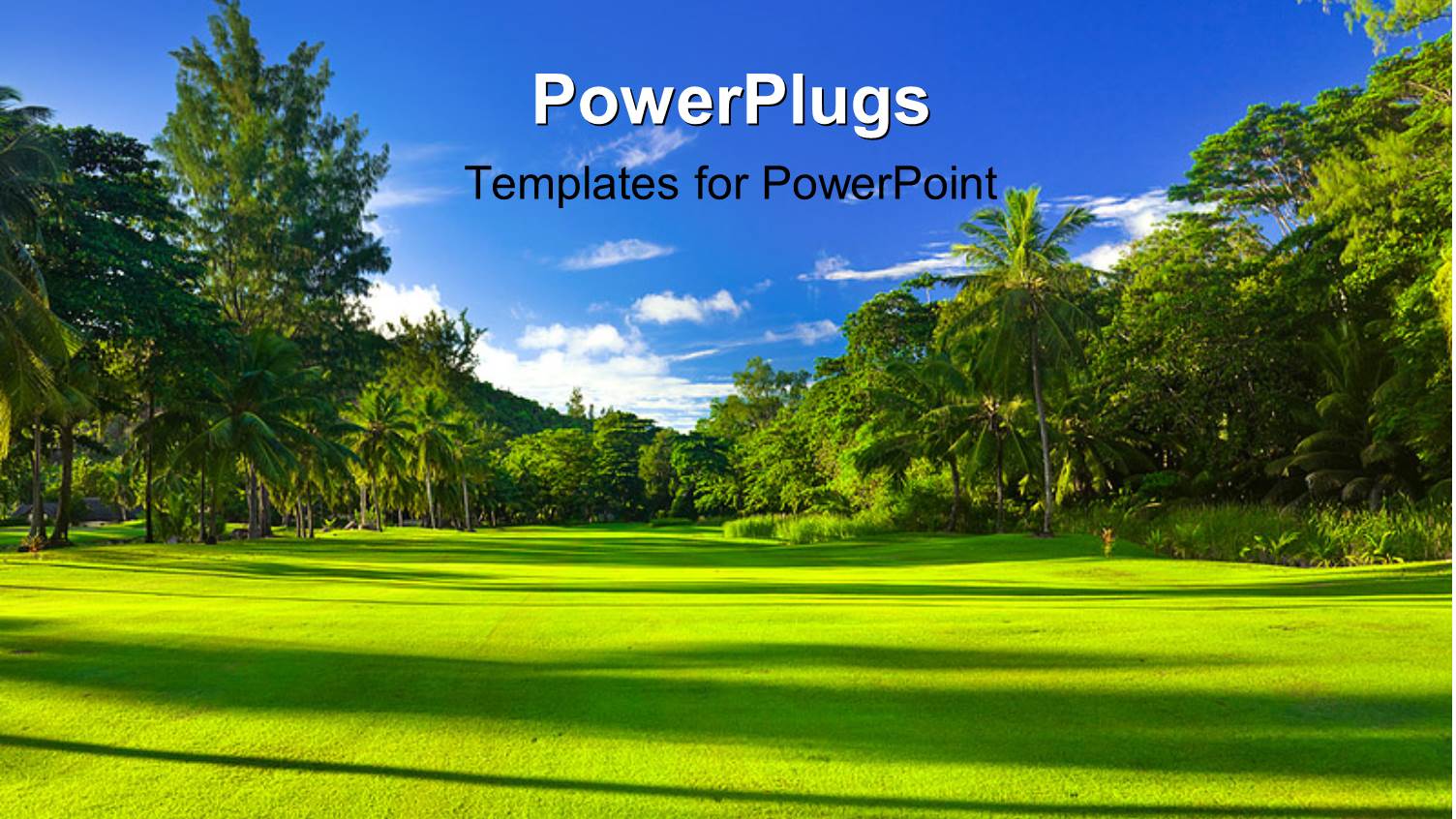 a Lot of Greenery and a Clear Sky