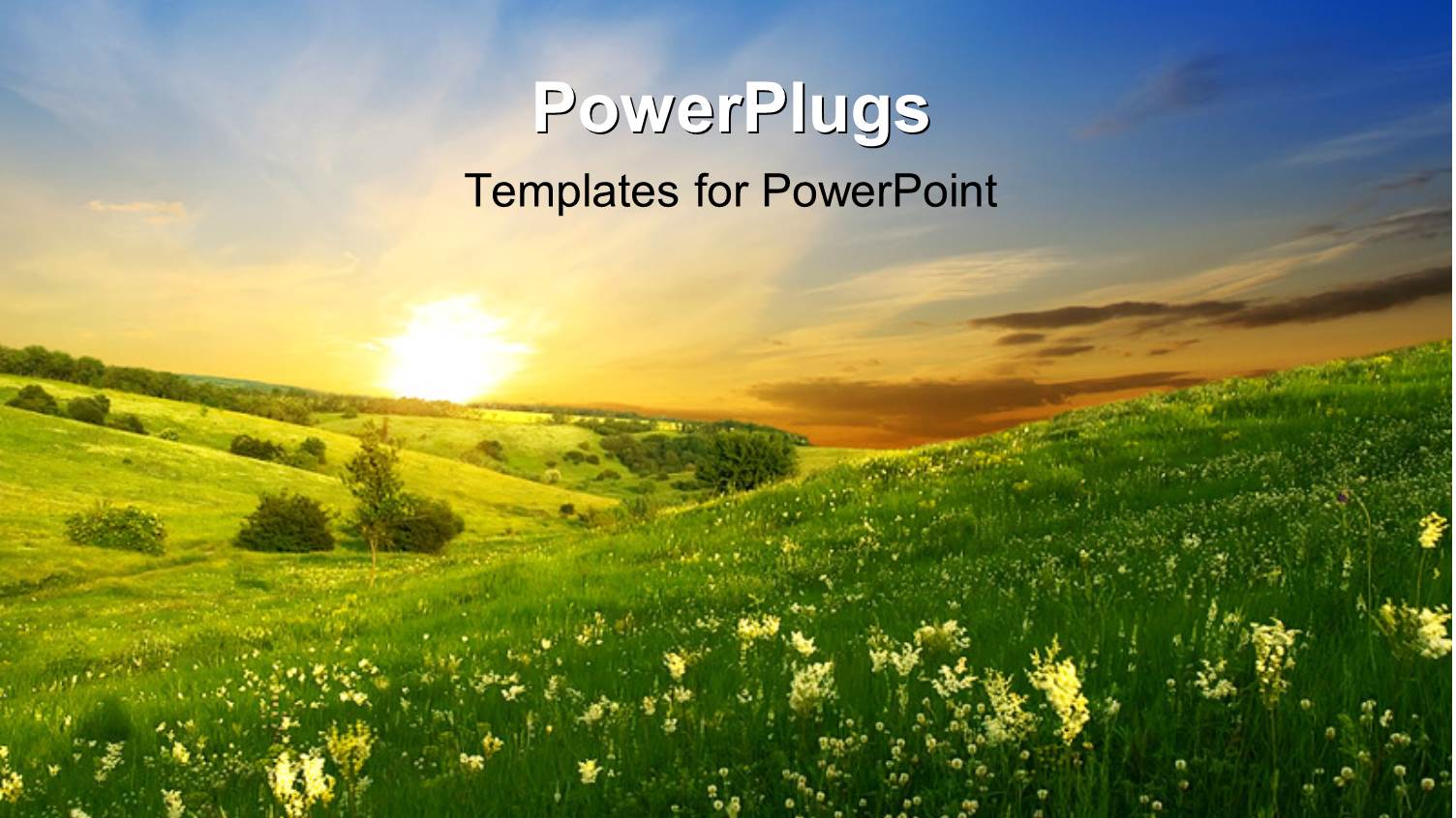 a Lot of Greenery and Flowers with Sun in the Background