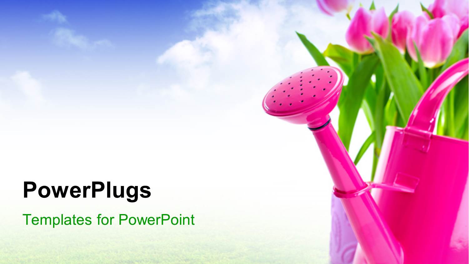 a Lot of Greenery and Tulip Flowers with Sky in the Background