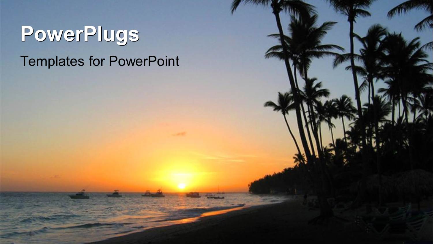 a Lot of Palm Trees on the Beach with Sea in Background