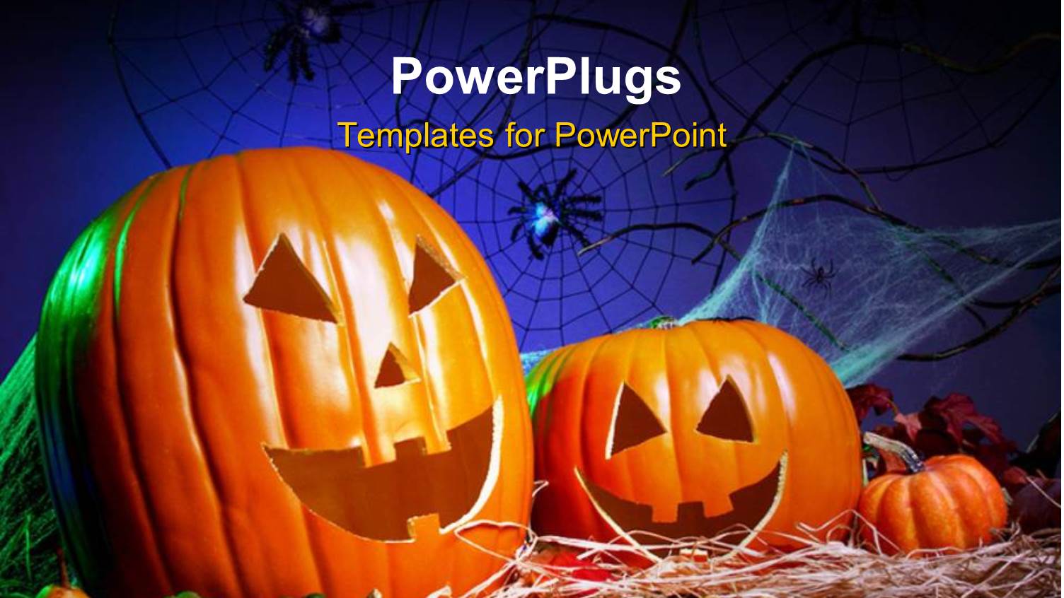 a Lot of Pumpkins for Halloween and Bluish Background