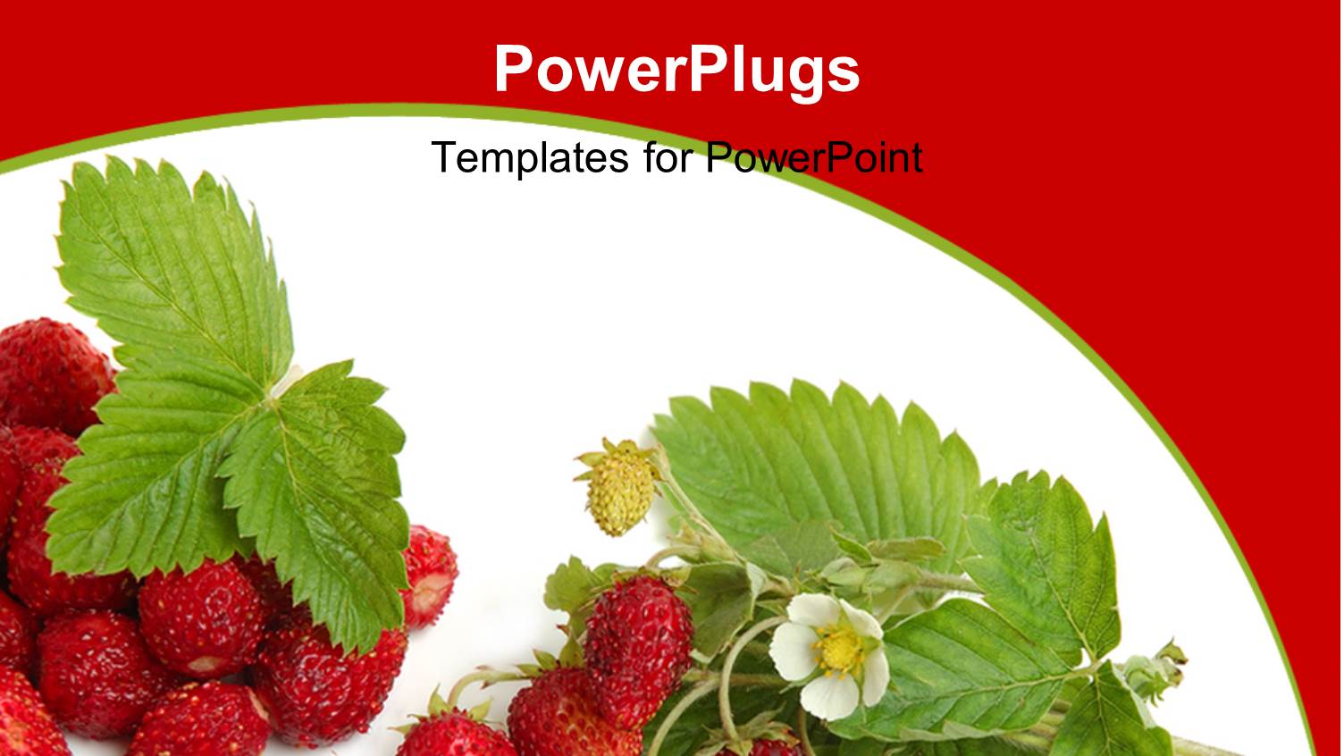 a Lot of Strawberries with White Background and Place for Text