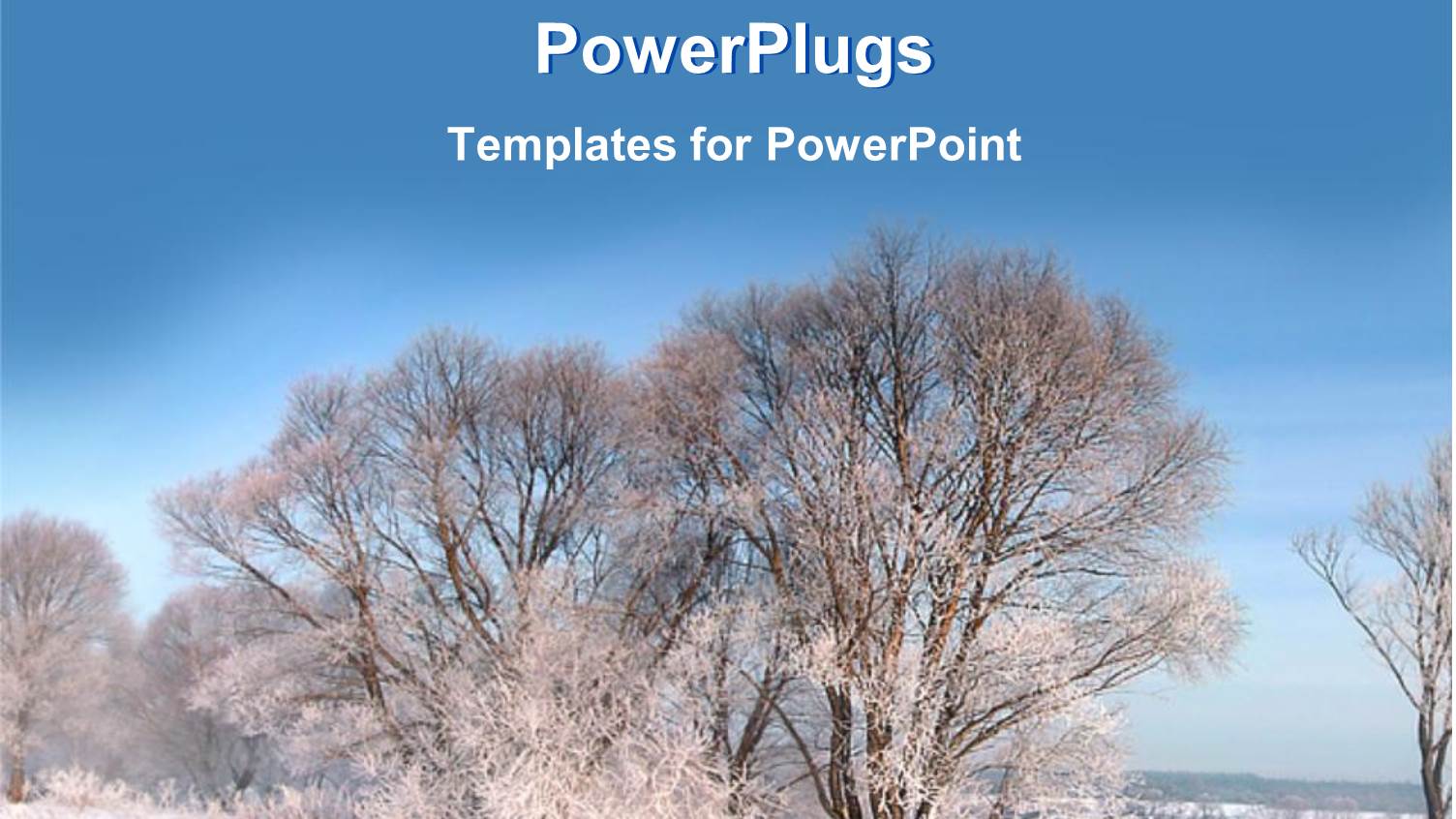 a Lot of Trees in the Fall Season