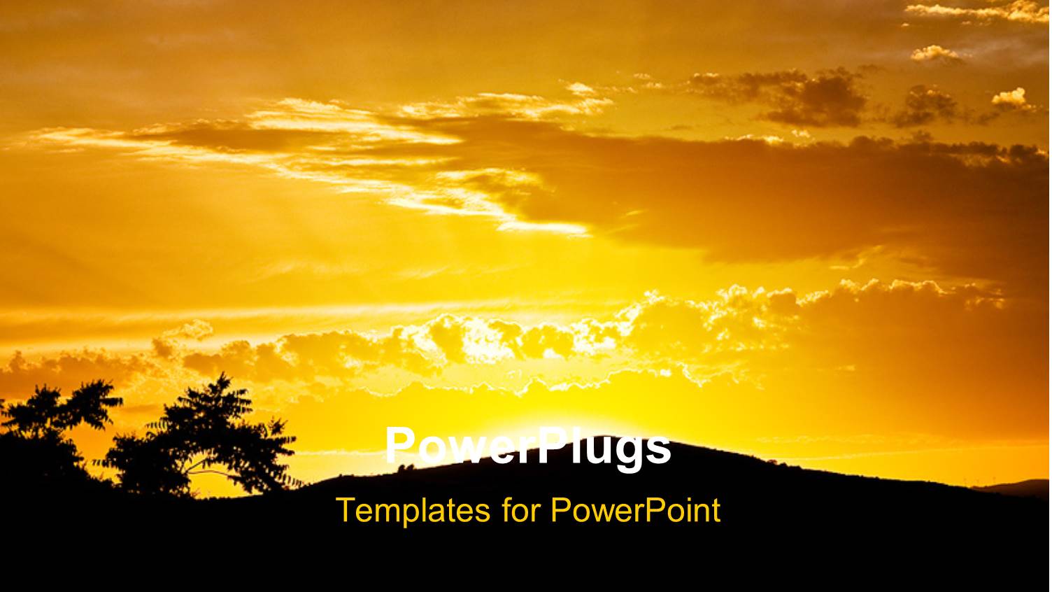 a Lot of Trees and a Mountain with Sunset in the Background