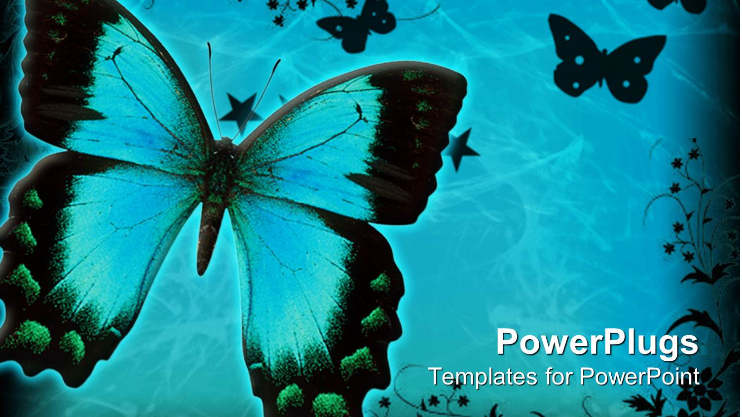 Lots of Butterflies with Floral Designs on a Blue Background