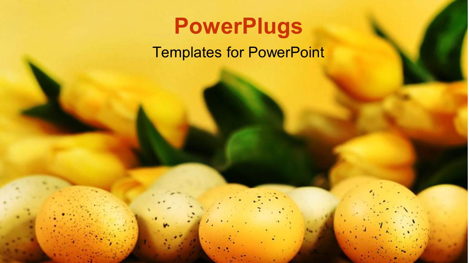 Lots of Ester Eggs and a Bunch of Tulip Flower