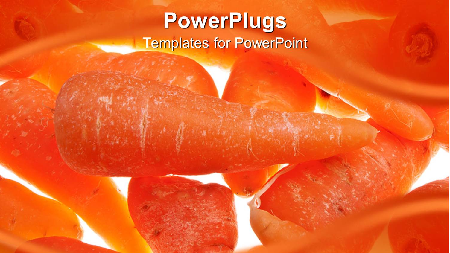 Lots of Freshly Cut Carrots on a White Background