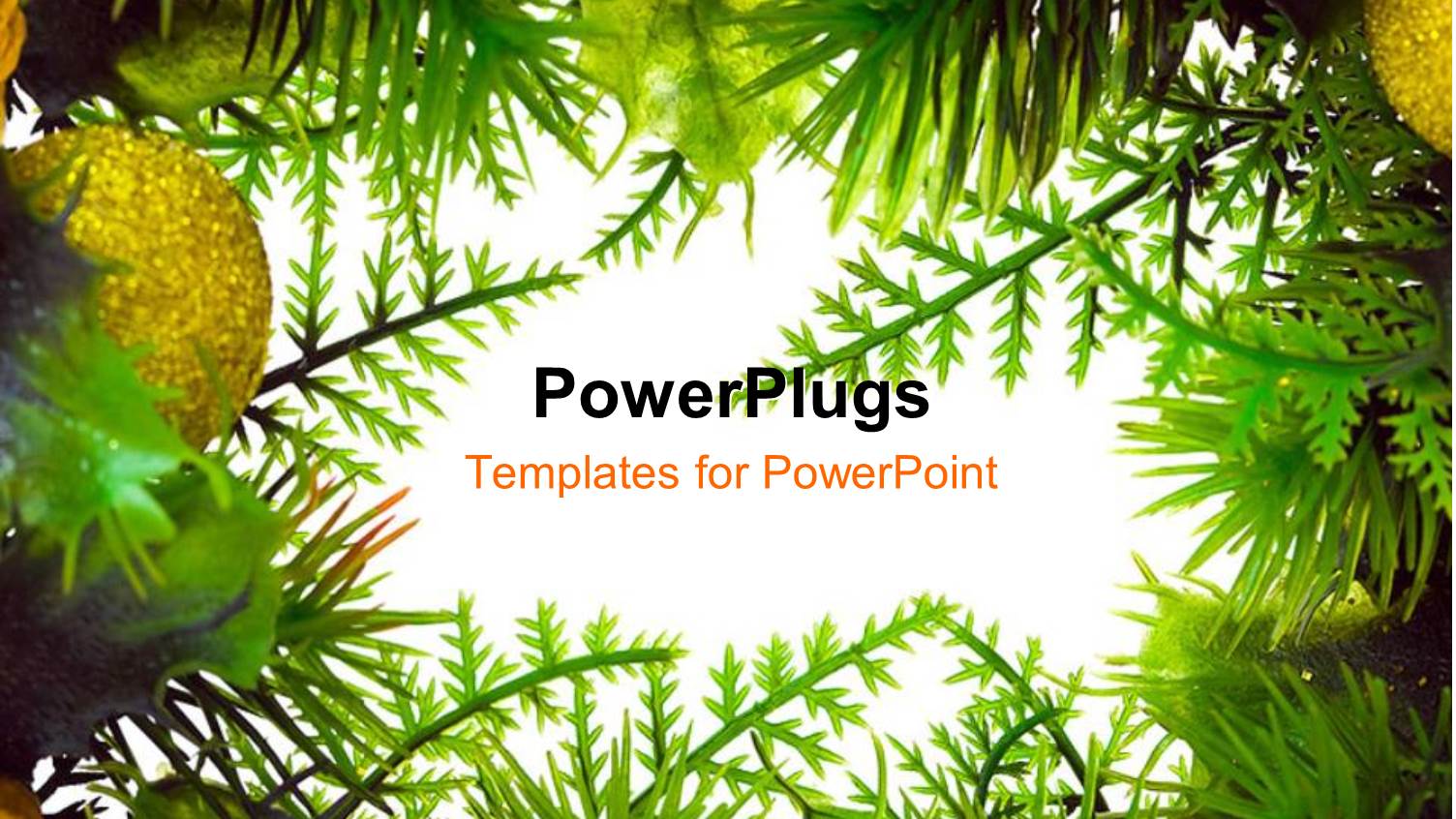 Lots of Green Colored Wreath and Golden Christmas Ornaments