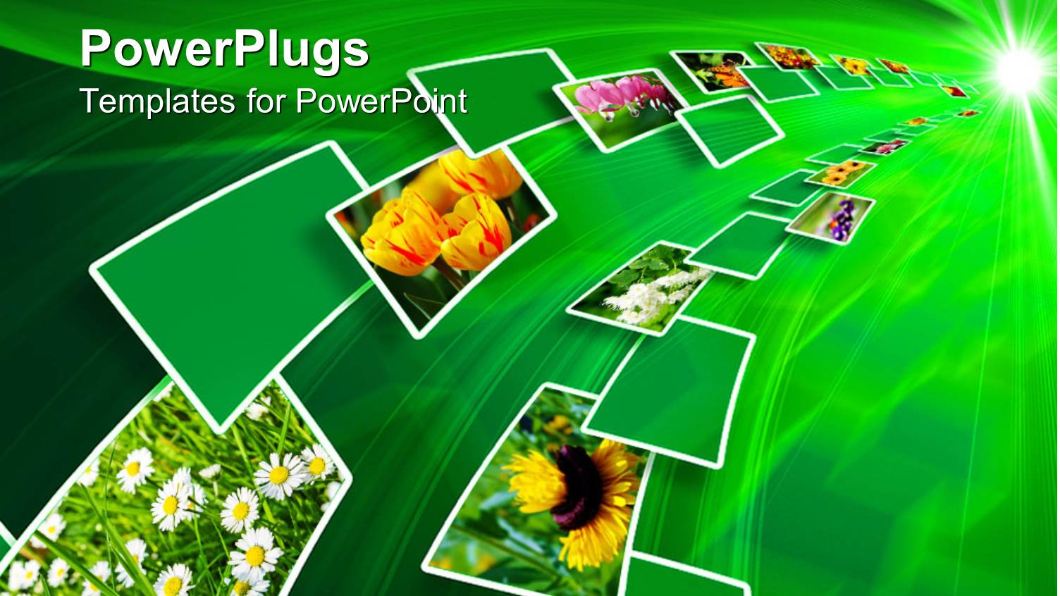 Lots of Green Tiles with Pictures of Colorful Flowers