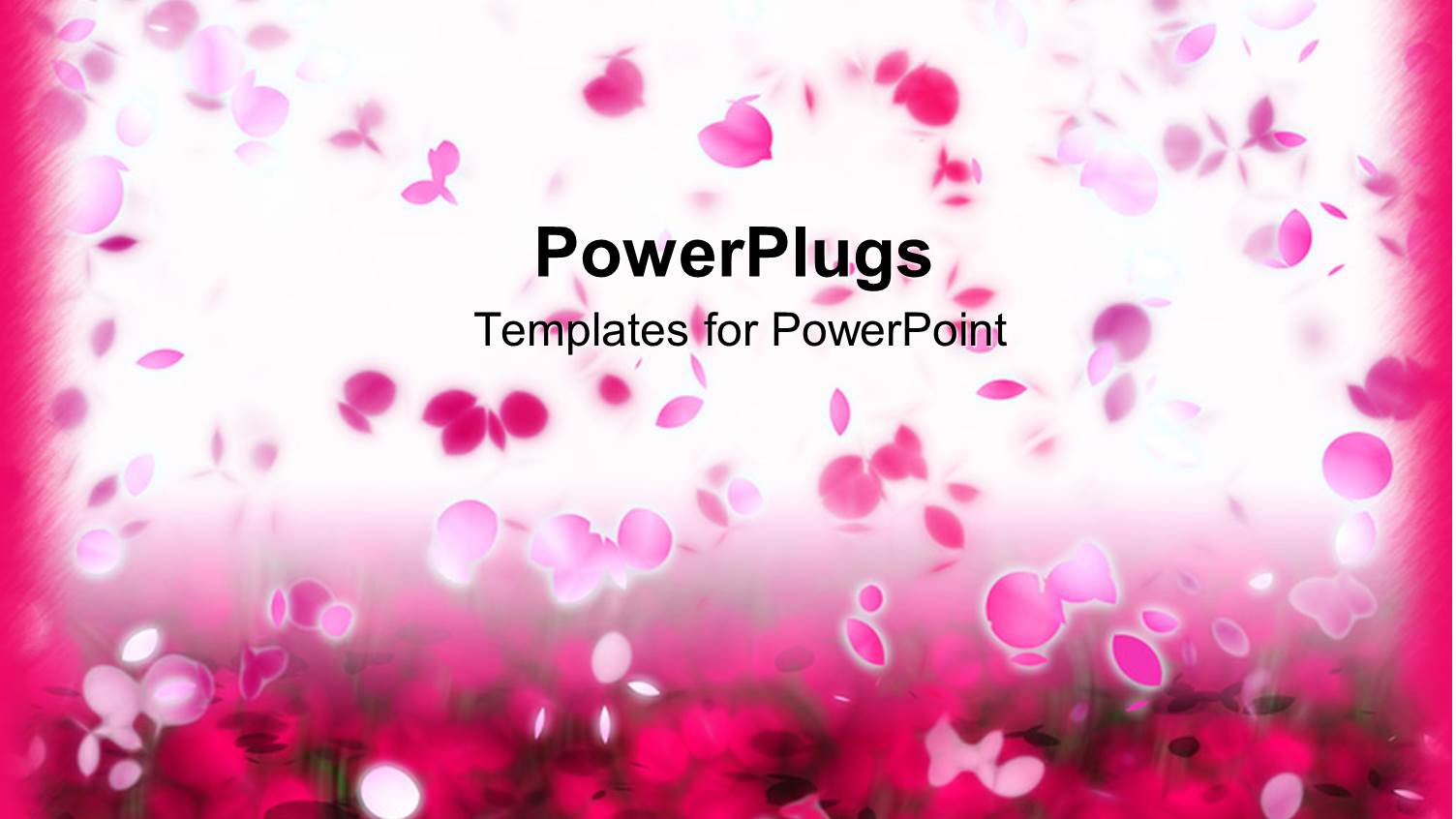 Lots of Pink Colored Flower Petals Floating on a White Background