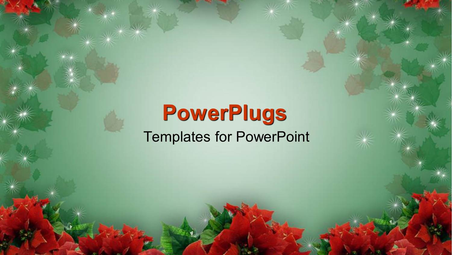 Lots of Red Colored Christmas Flowers Arranged in Two Lines