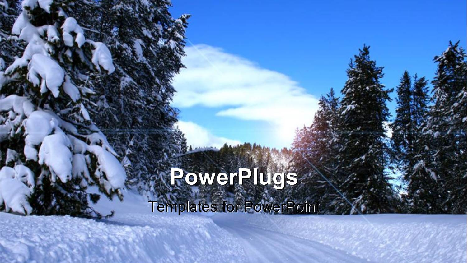 Lots of Snow with Many Trees and a Clear Sky