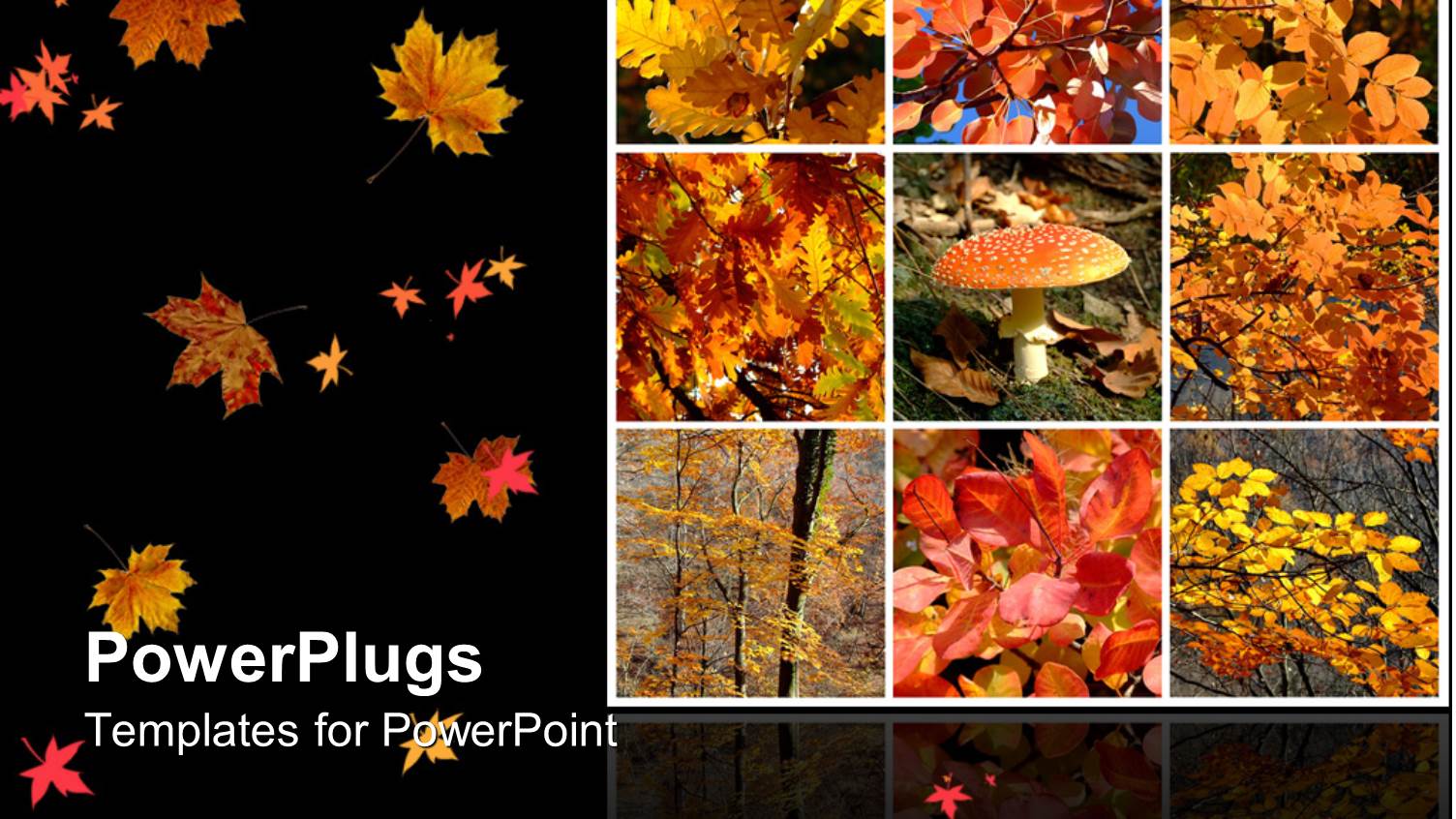 Lots of Tiles with Dried Autumn Leaves and Black Background