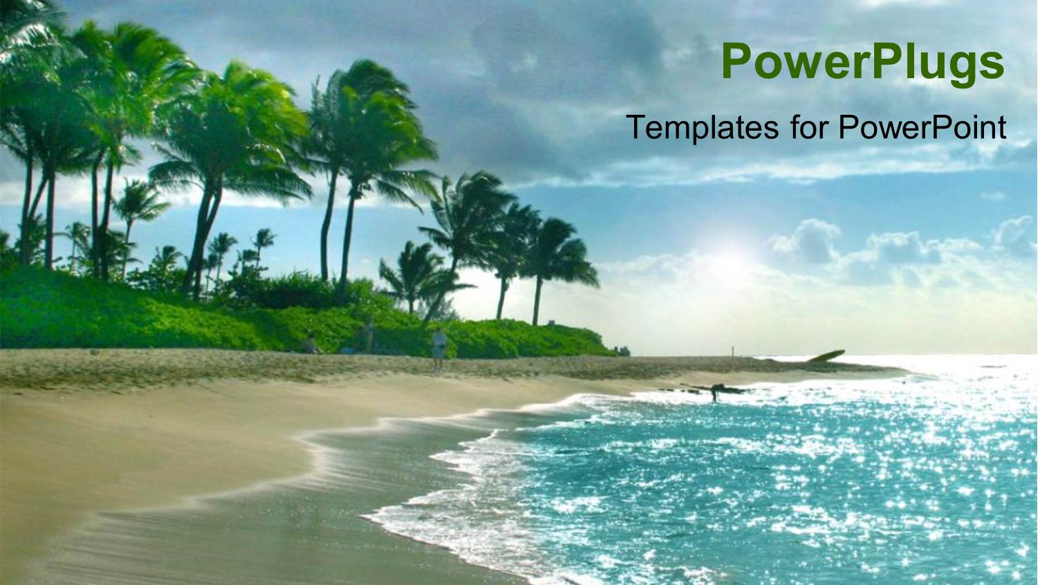 Lots of Trees at the Shore of a Blue River Beach