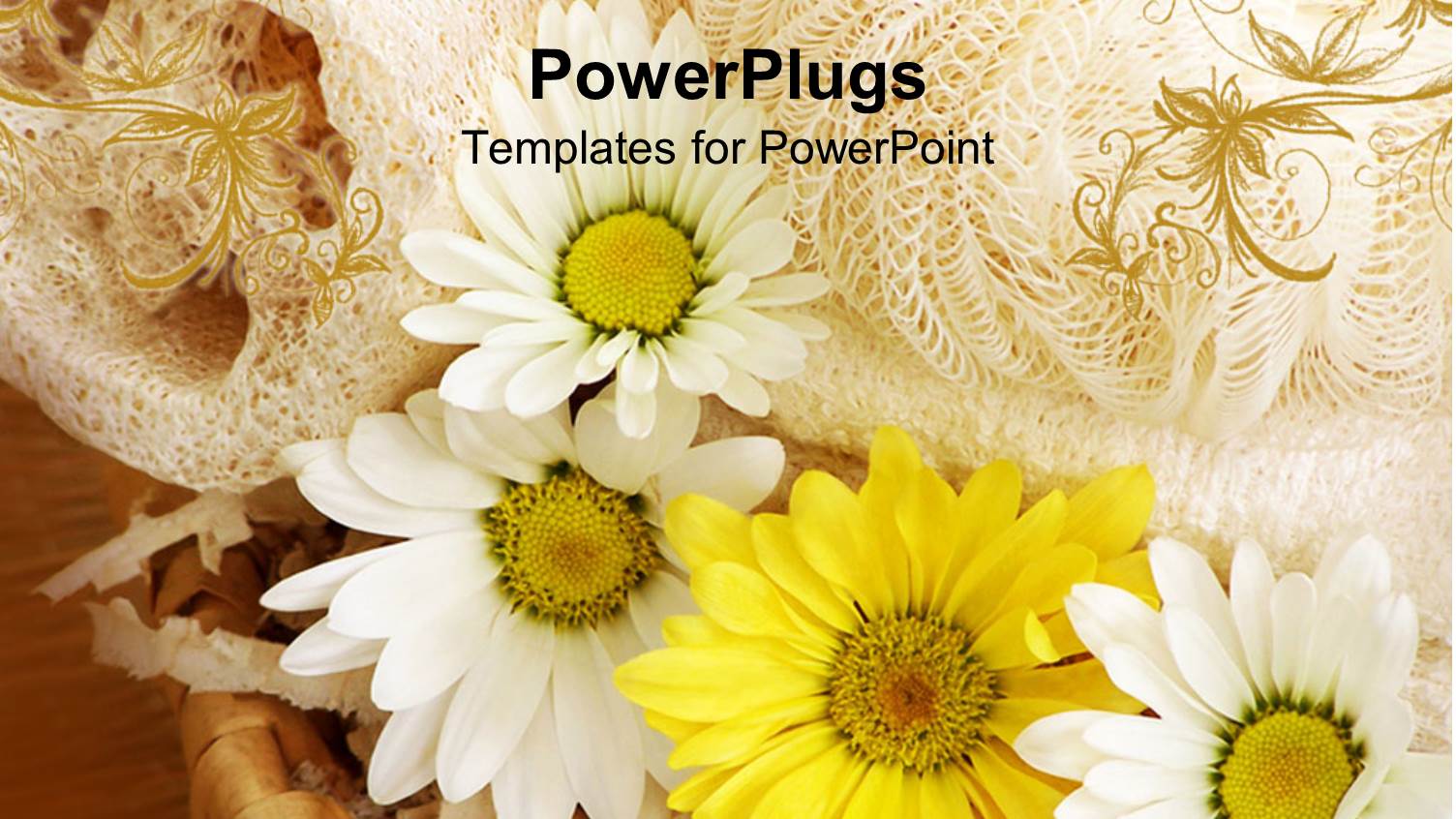 Lots of Yellow and White Flowers with Sponges and Towels