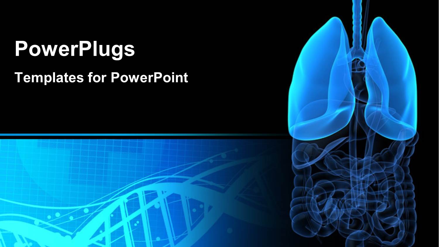 Medical Background with Anatomy Depiction of Human Organs and Dna Symbol in Background