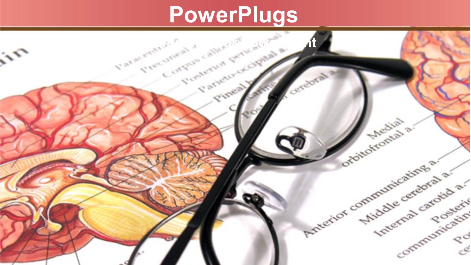 Medical Theme with Eyeglasses on Medical Page with Depiction of Human Brain with Sections