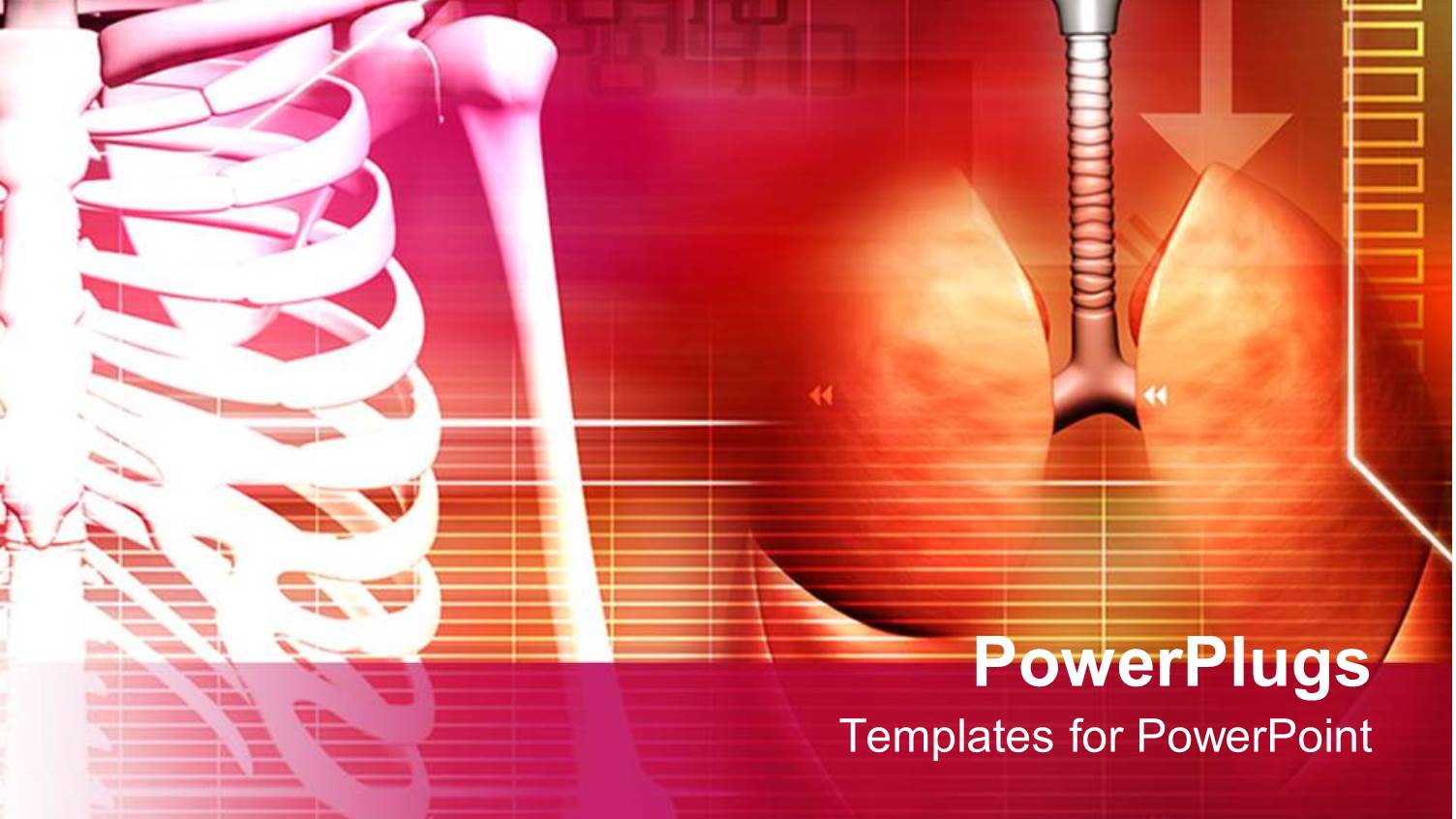 Medical Theme with Human Spine and Lungs on Abstract Background