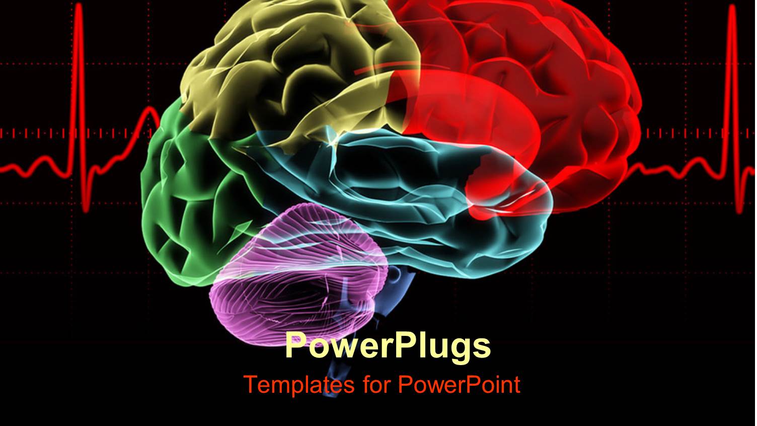 Multicolored X-ray Human Brain with a Red Heart Rate Related to Cranium Neurology Science on a Black Background