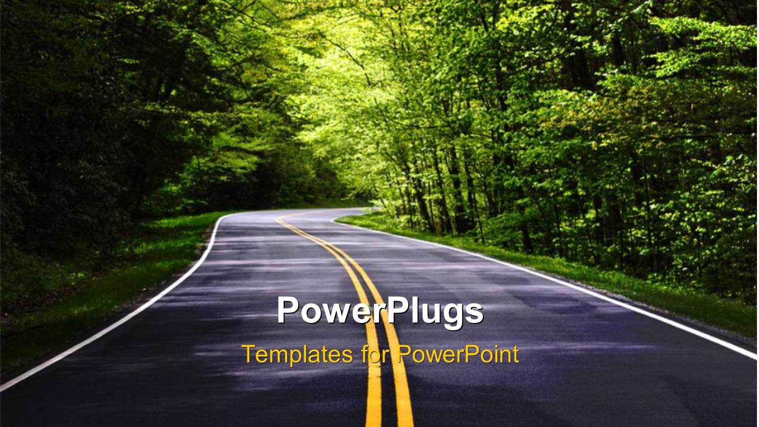 Narrow Country Road Through Heavily Wooded Rural Area