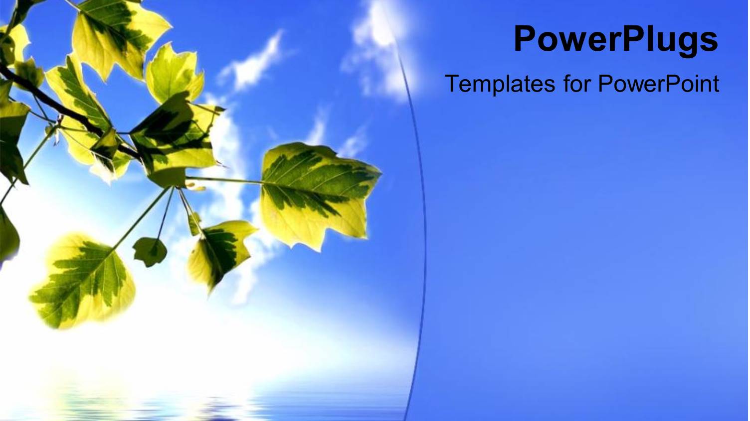 Nature with Green Leaves on Tree Blue Water and Sky