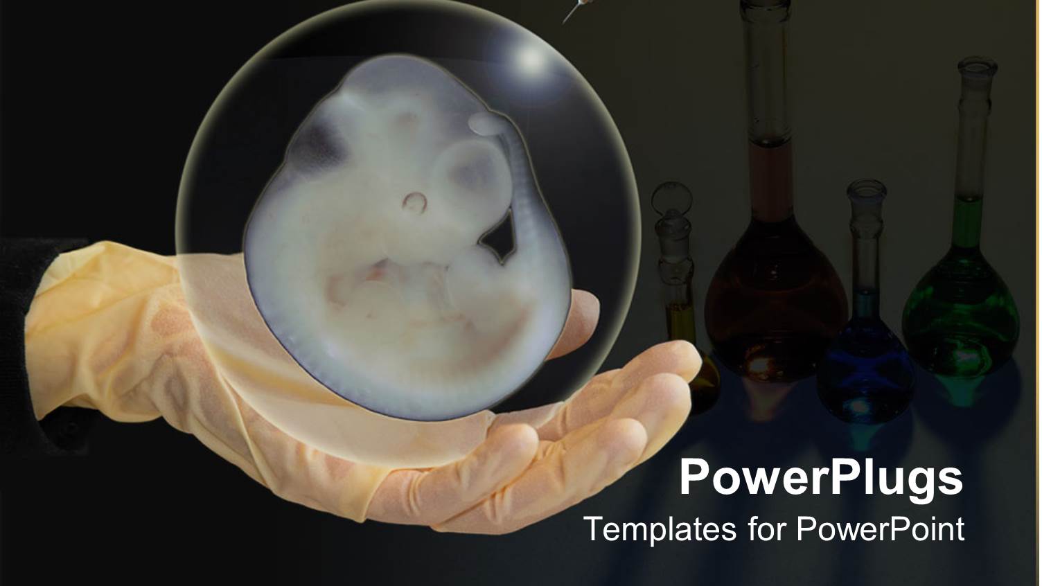 Needle Piercing an Animal Embryo on White Gloved Hands