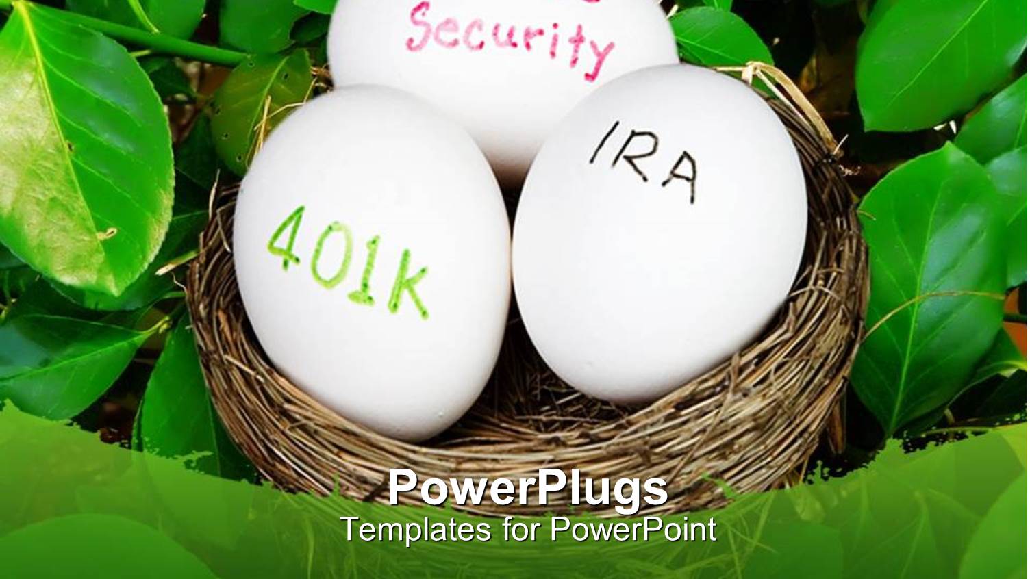 Nest Egg Savings Metaphor with Bird's Nest IRA, 401k, Social Security Eggs, Retirement, Savings