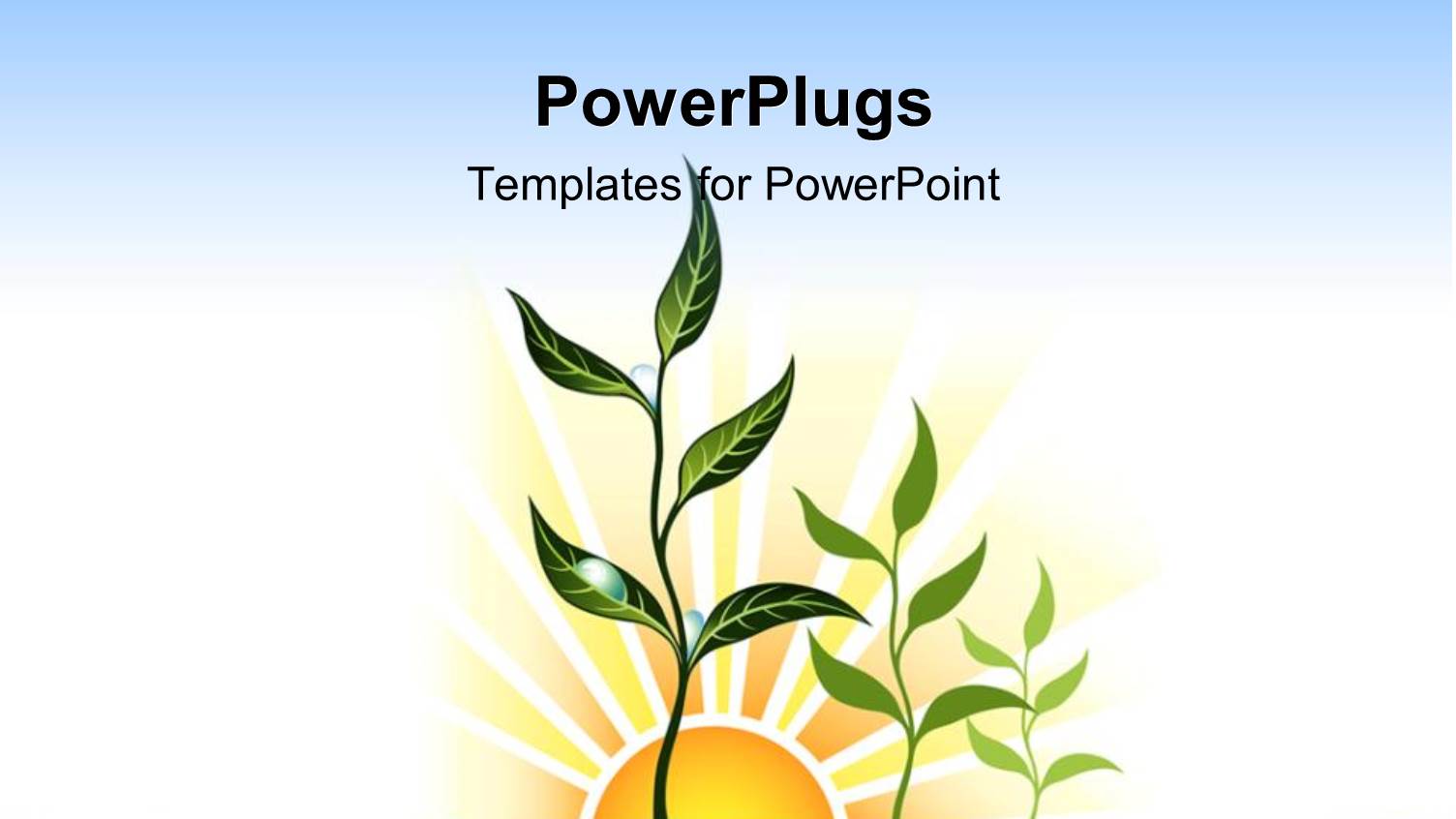 a Numbe Rof Plants and Sunrise in Background