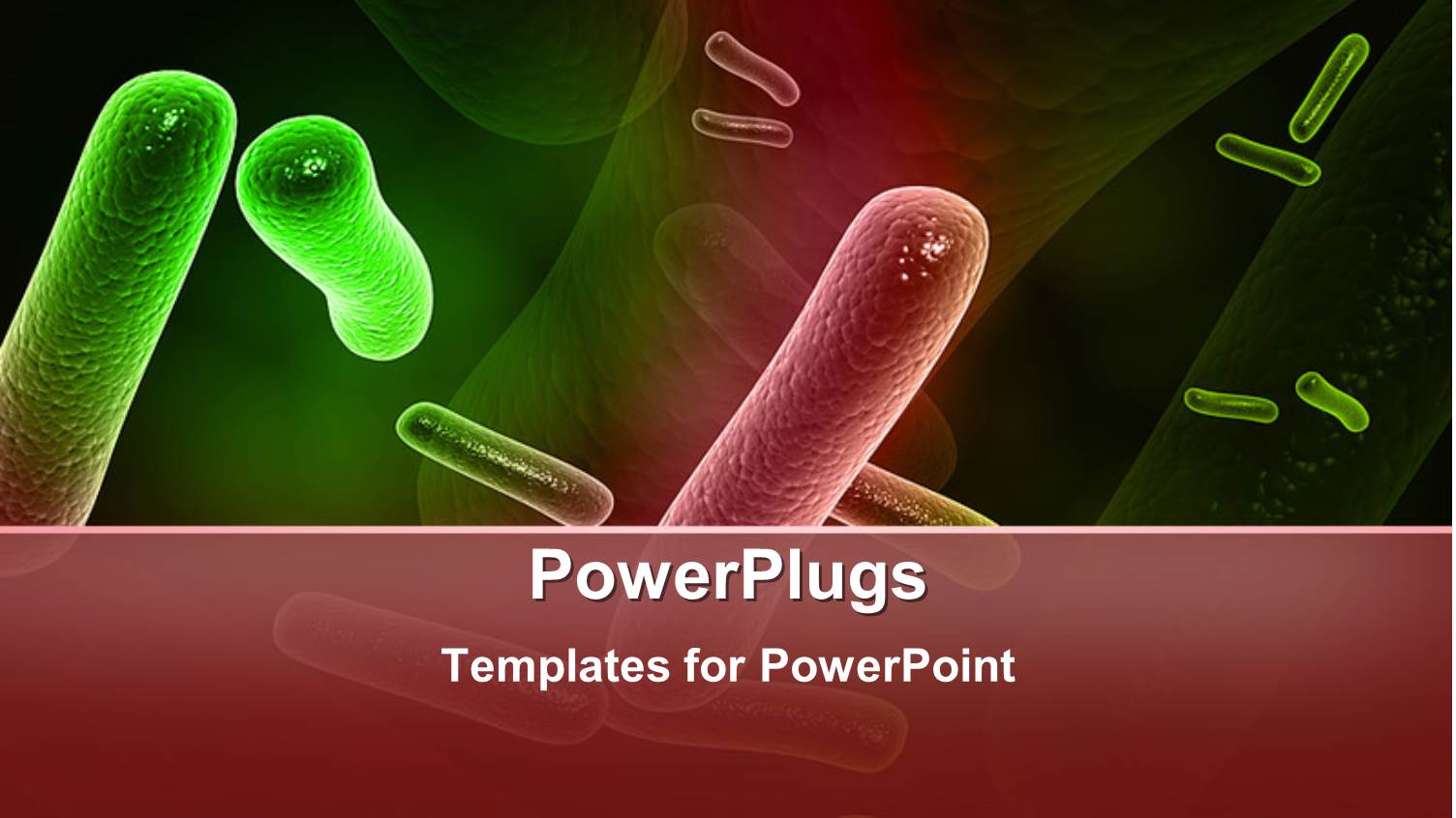 a Number of Bacteria with their Reflection in the Background