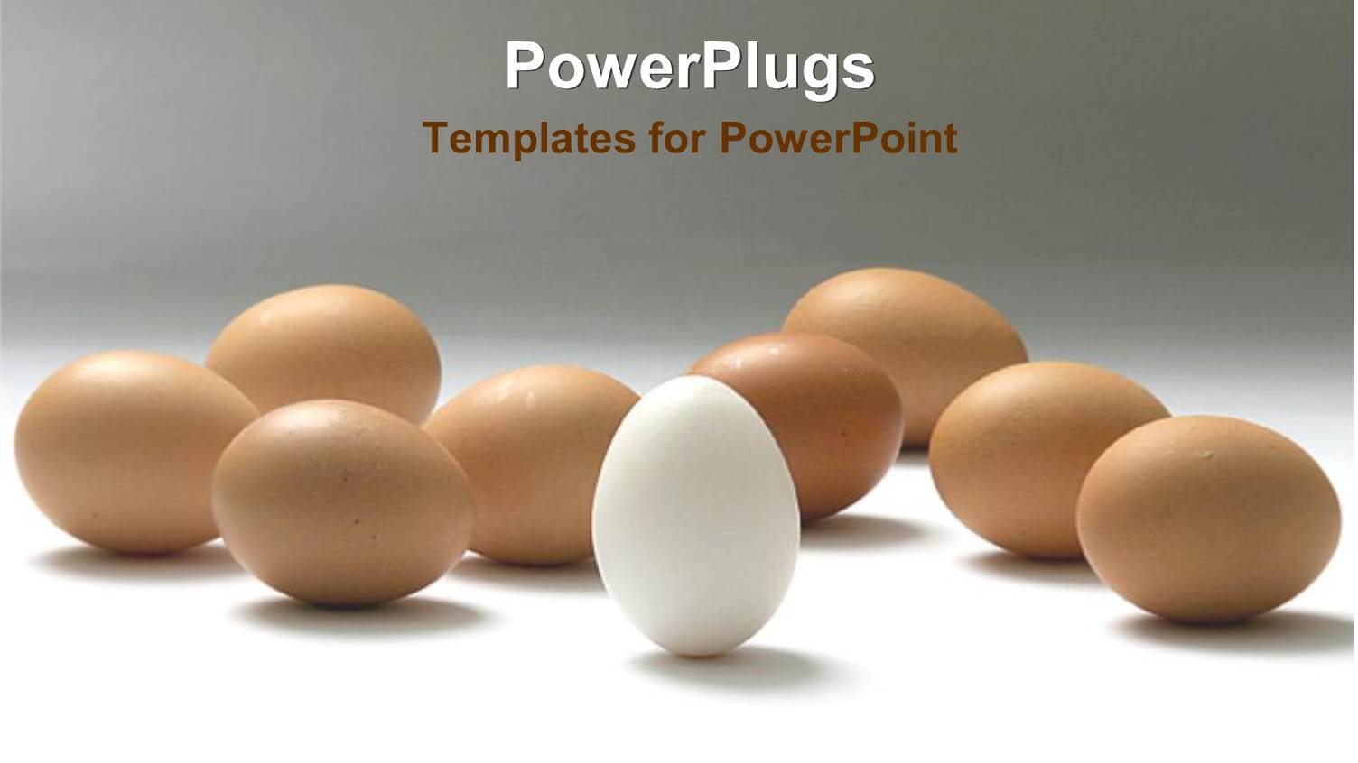 a Number of Brown Eggs with a White One