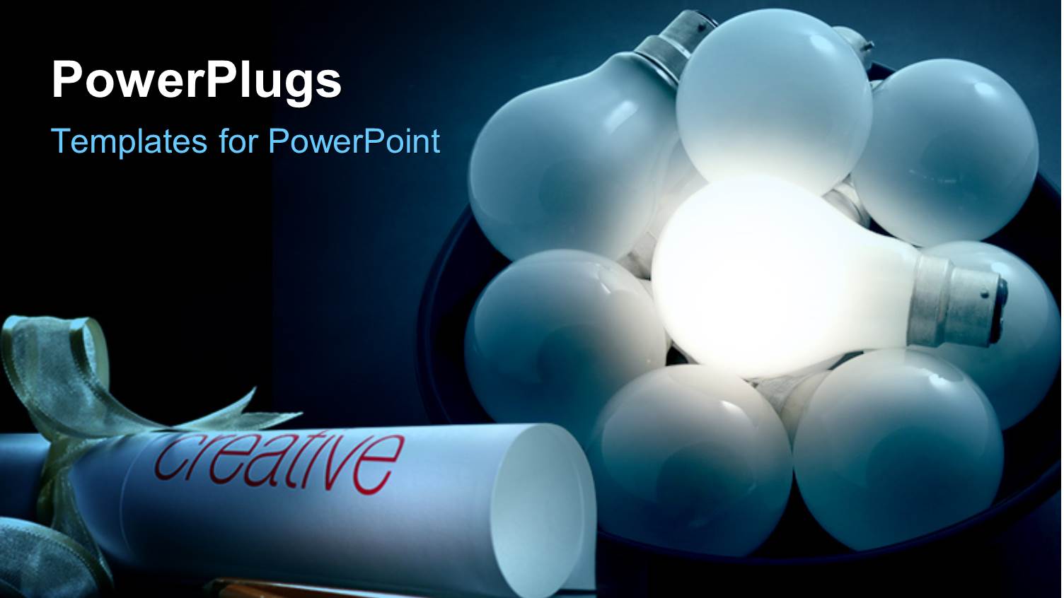 a Number of Bulbs Glowing in the Dark