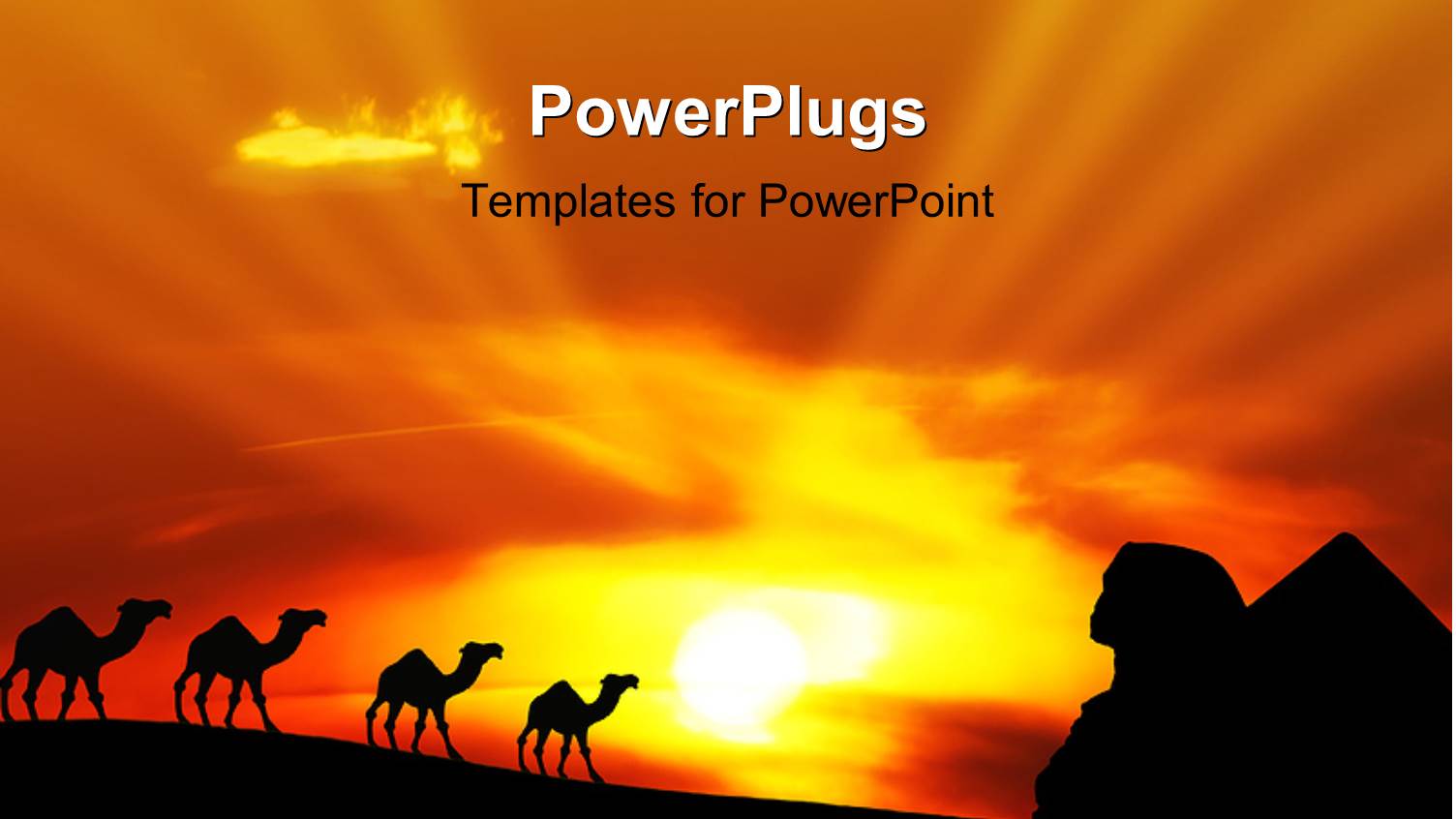 a Number of Camels in the Desert