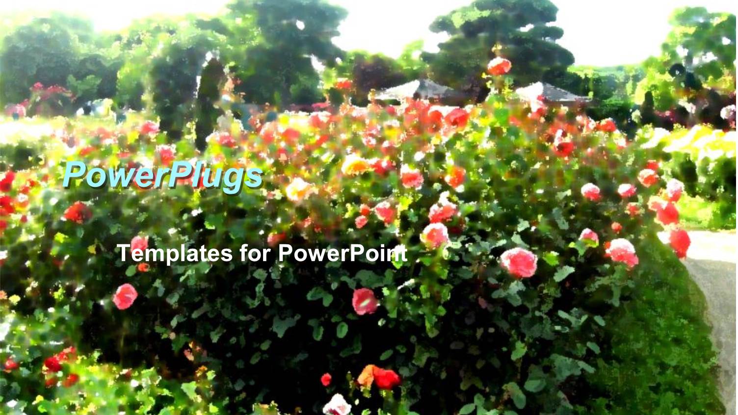 a Number of Flowers with Greenery in the Background