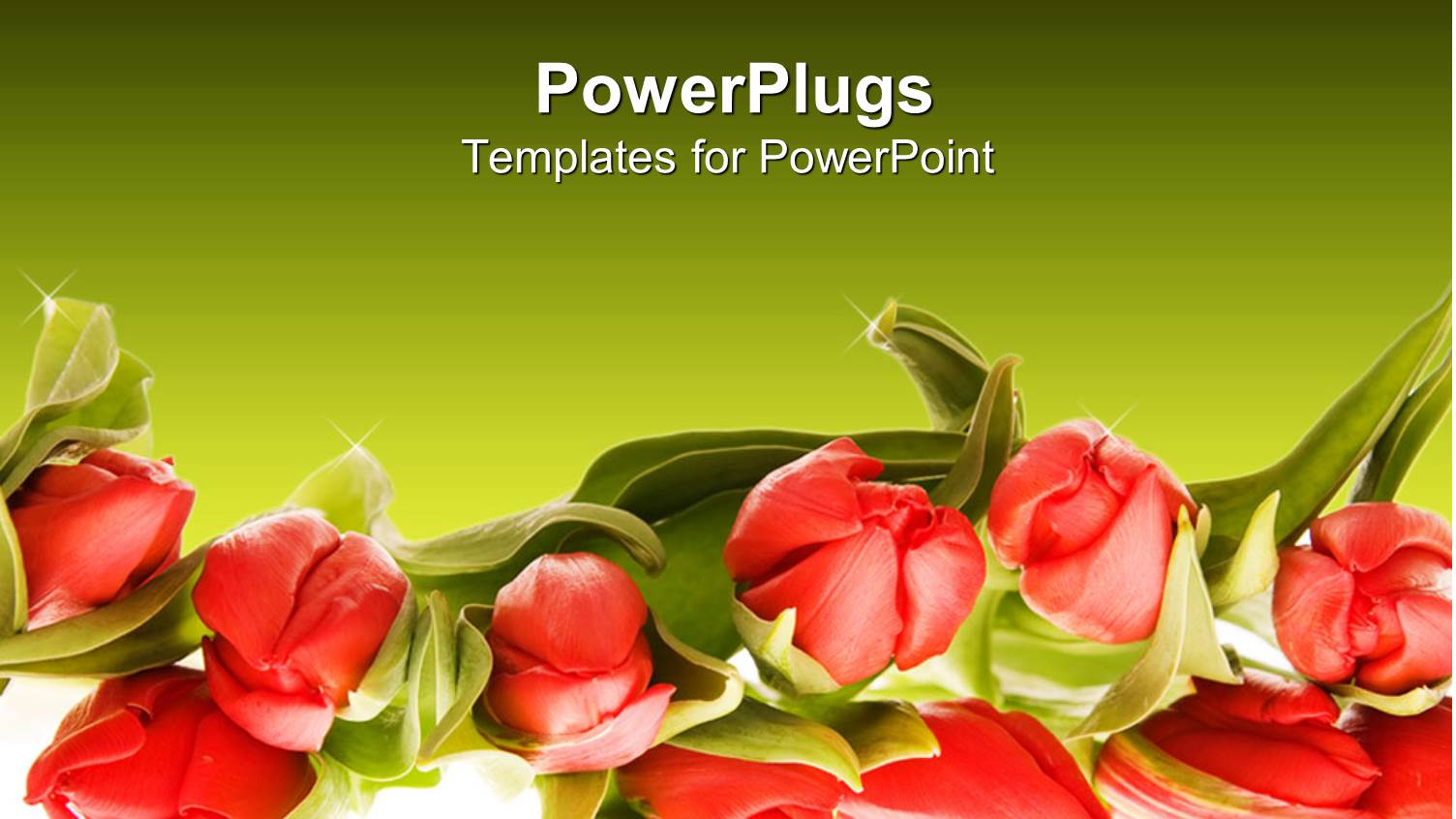 a Number of Flowers with Greenish Background