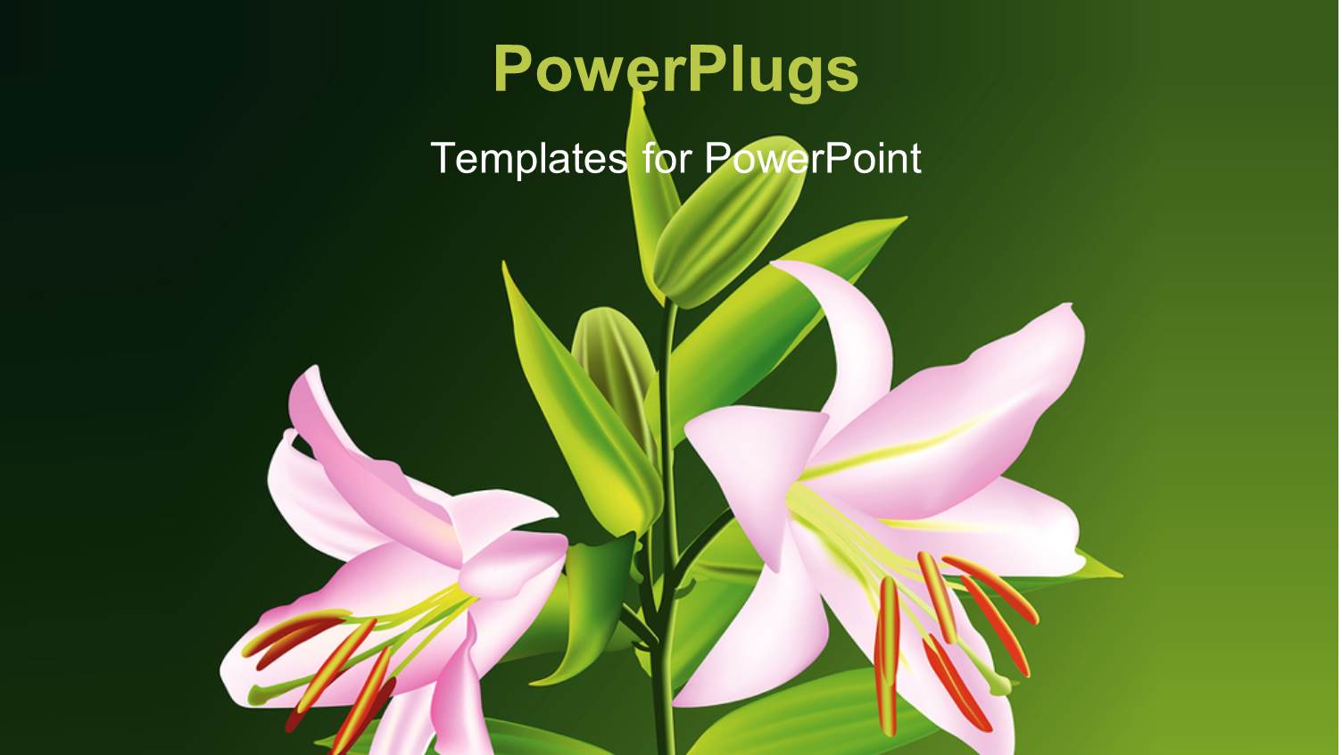 a Number of Flowers on a Plant and Greenish Background