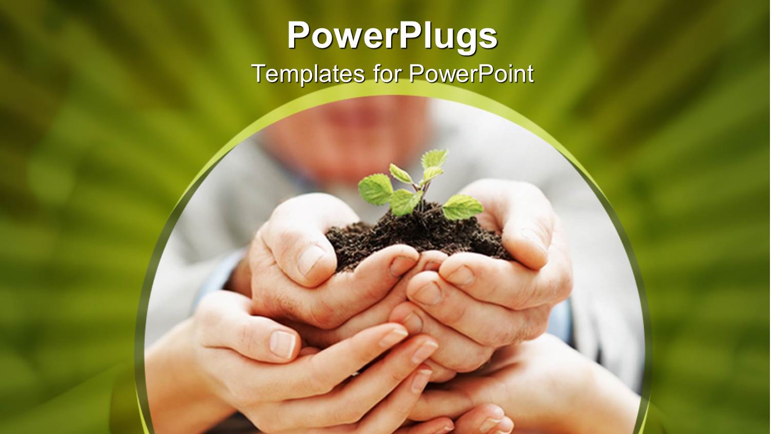 a Number of Hands Holding the Plant