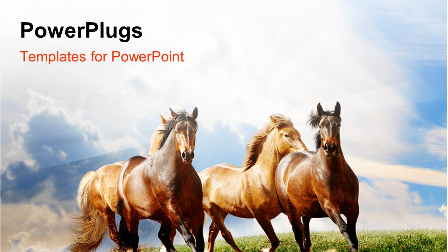 a Number of Horses Running with Clouds in the Background