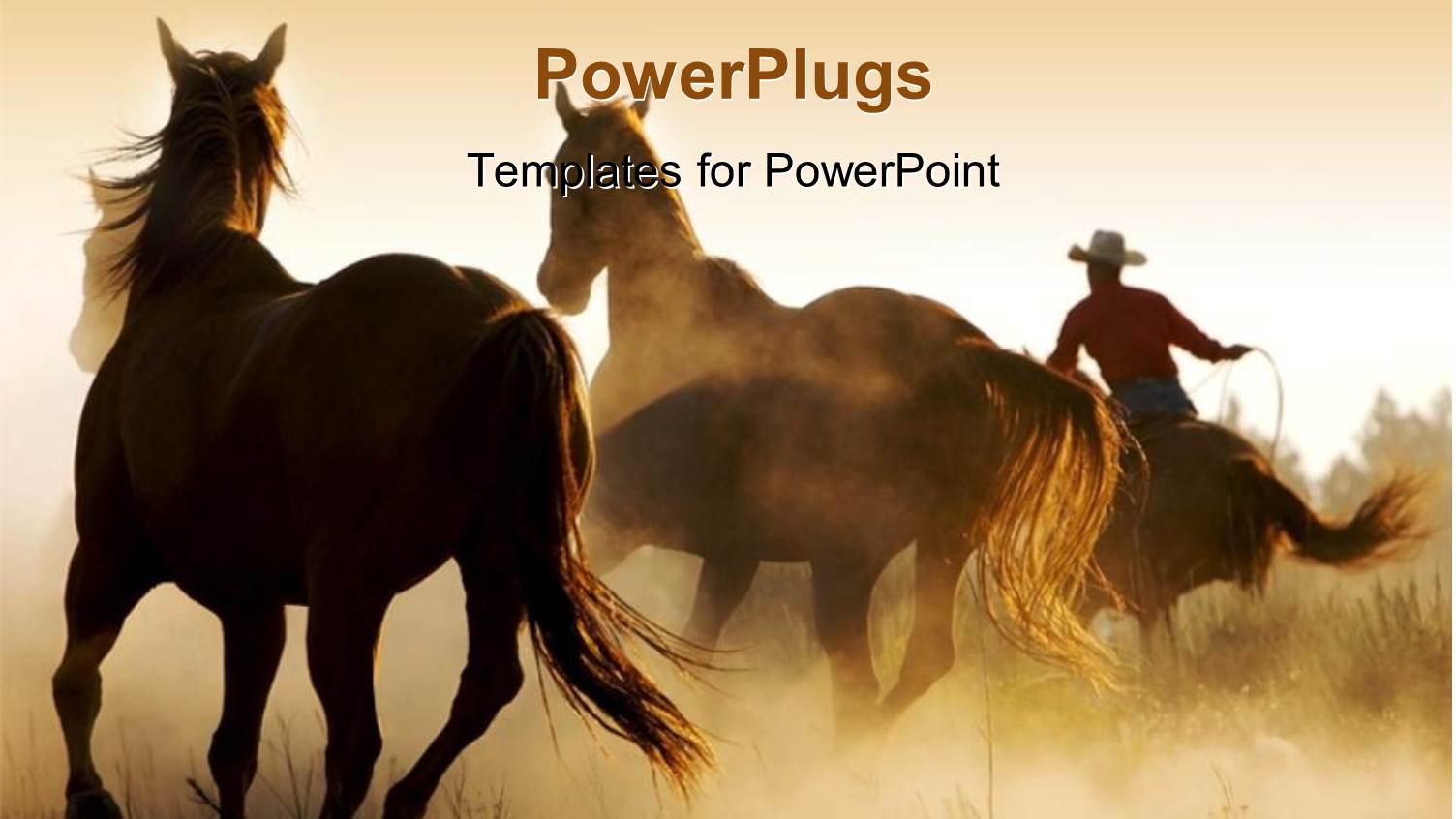 a Number of Horses in the Wild