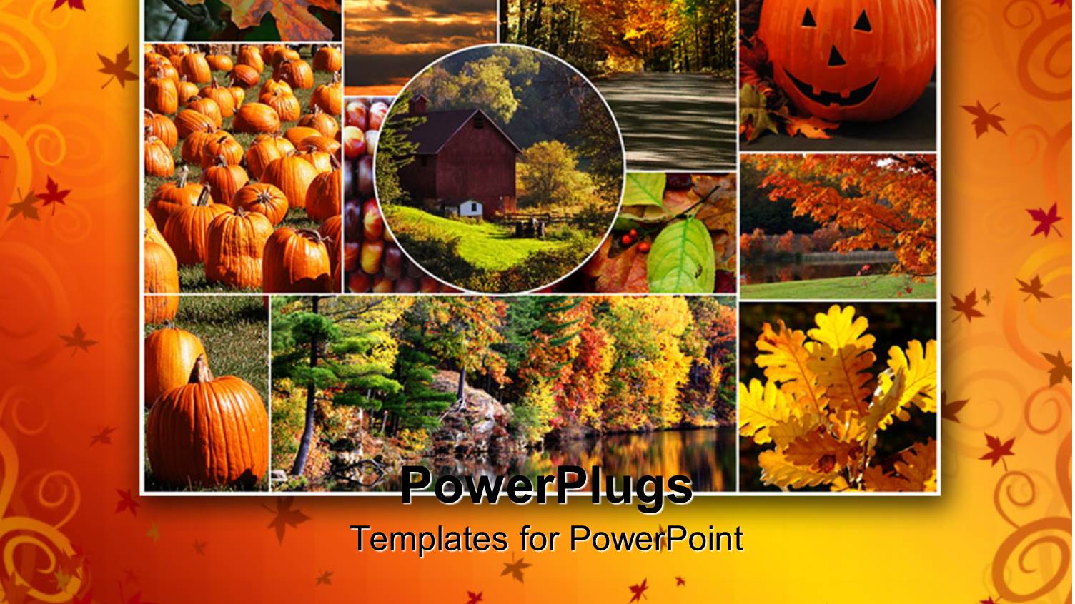 a Number of Houses, Trees and Pumpkins