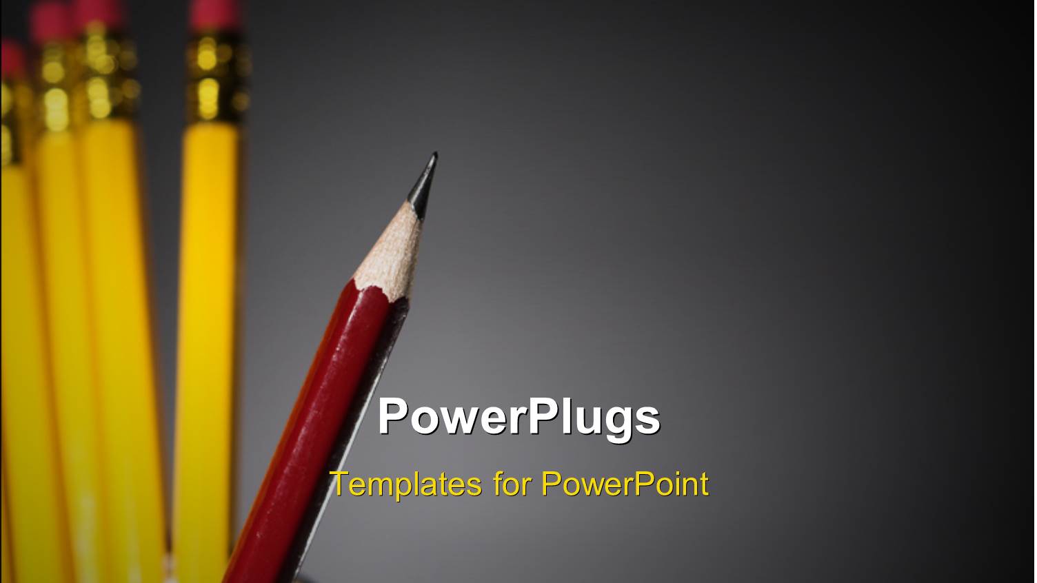 a Number of Lead Pencils with a Sharpened One