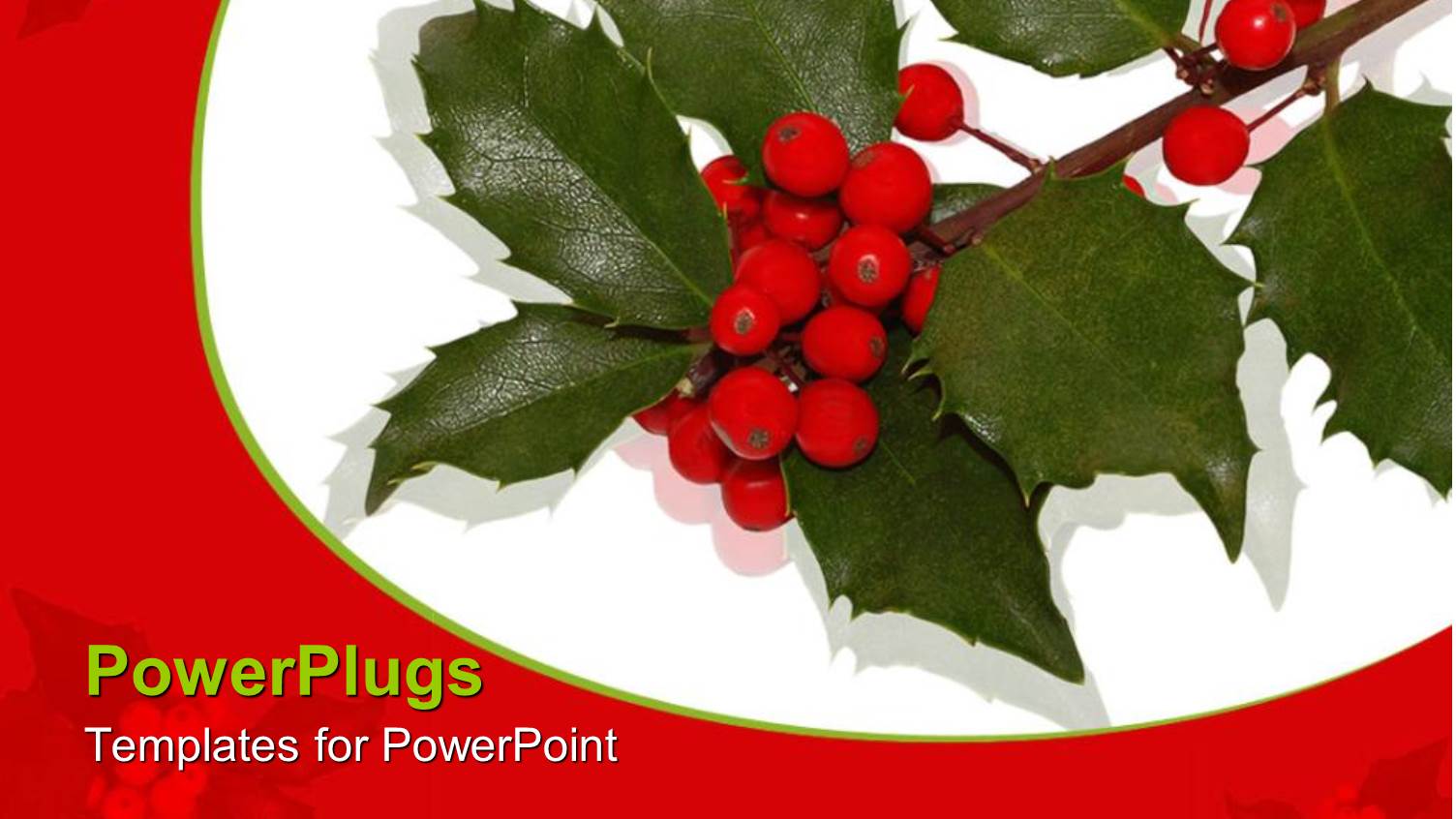 a Number of Leaves and Berries with White Background