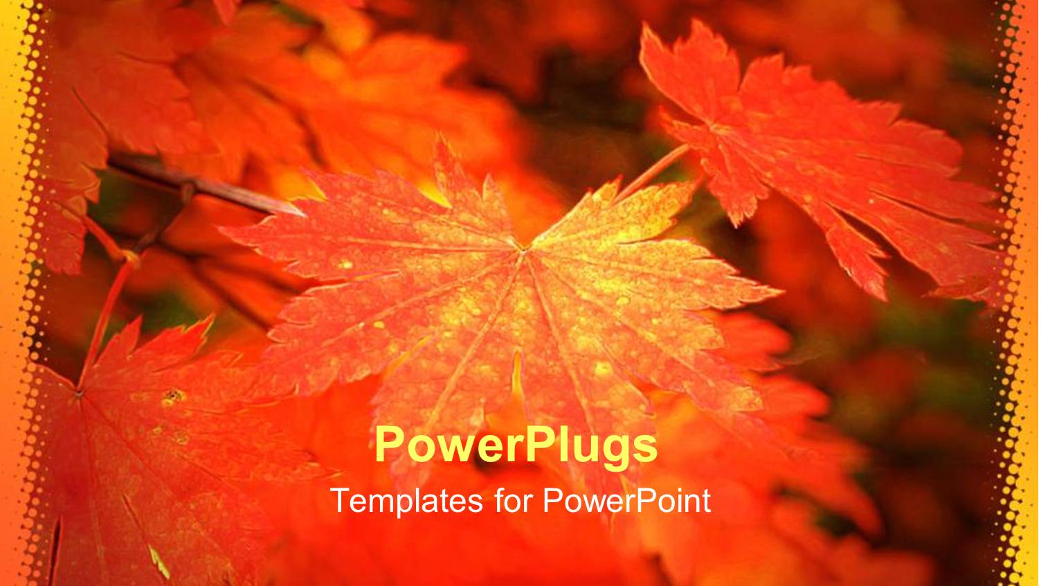 a Number of Leaves in the Fall