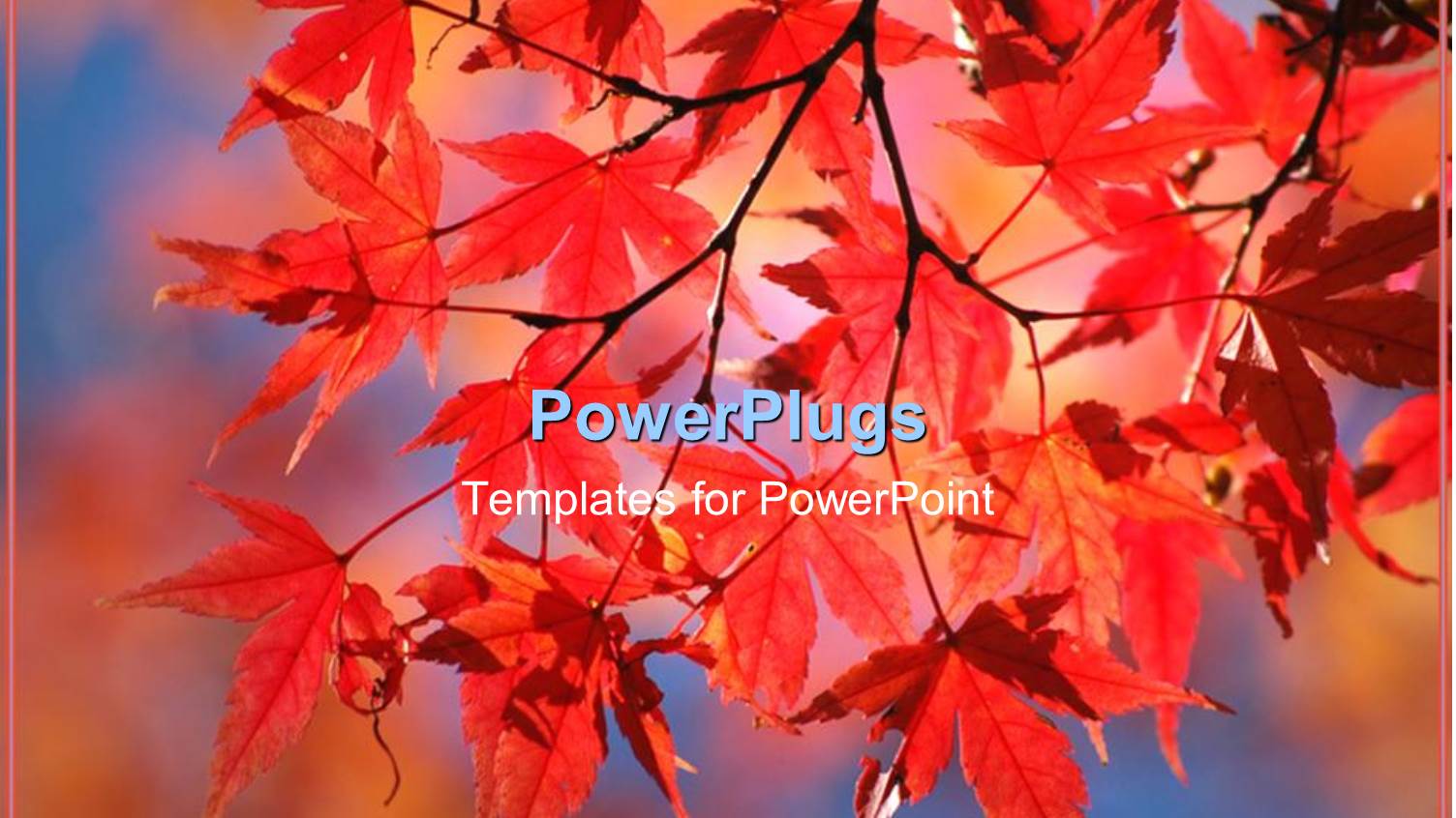 a Number of Leaves in the Fall with Colorful Background