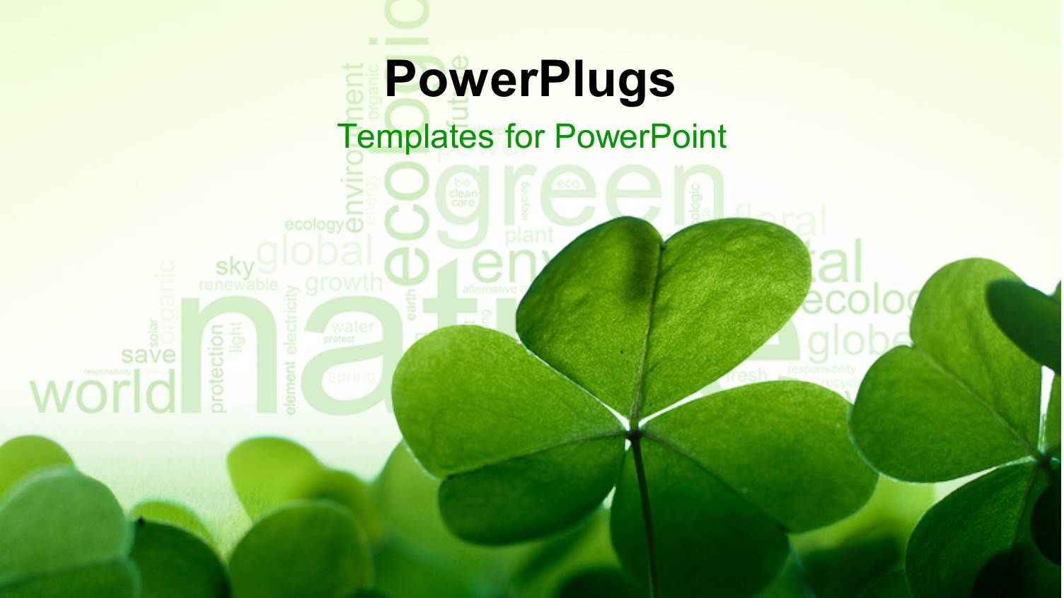 a Number of Leaves with Greenish Background