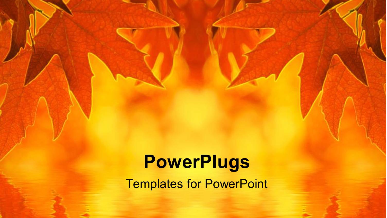 a Number of Leaves with their Reflection in the Water